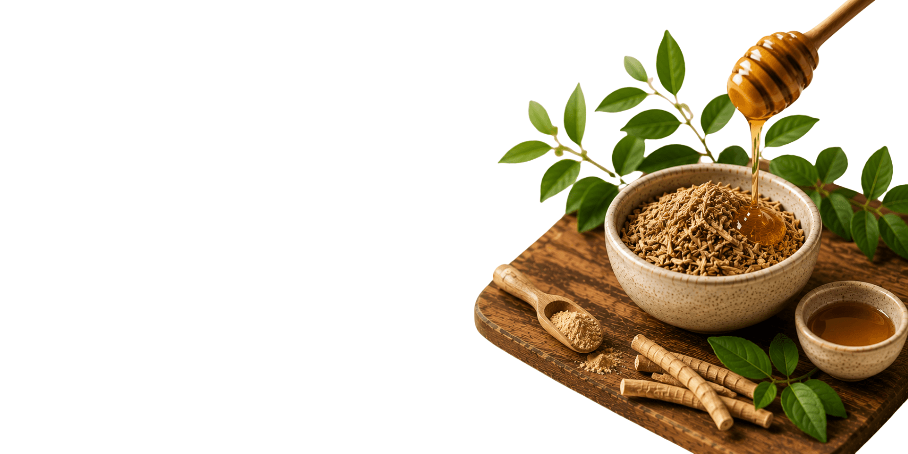 GINSENG FOR MITOCHONDRIAL ENERGY & STAMINA